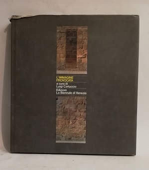 L'IMMAGINE PROVOCATA.