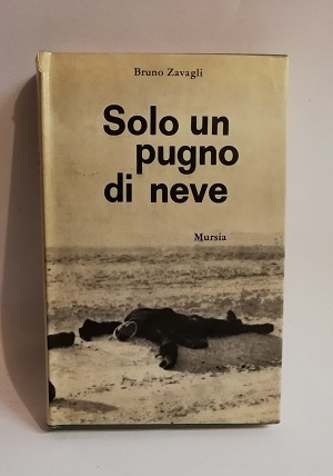 SOLO UN PUGNO DI NEVE.
