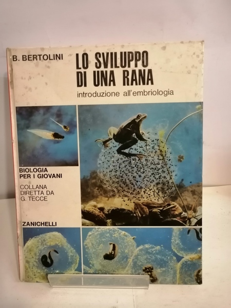 LO SVILUPPO DI UNA RANA.