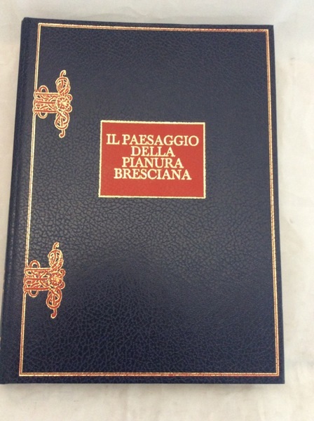 IL PAESAGGIO DELLA PIANURA BRESCIANA. - Fotografie di Basilio Rodella.