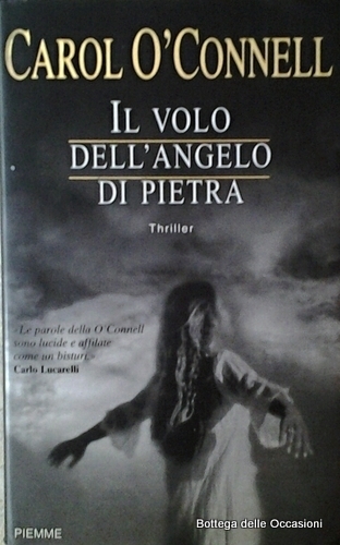 IL VOLO DELL'ANGELO DI PIETRA.
