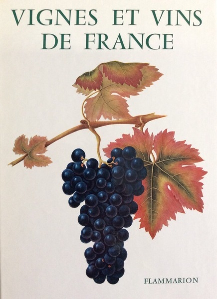 VIGNES ET VINS DE FRANCE.