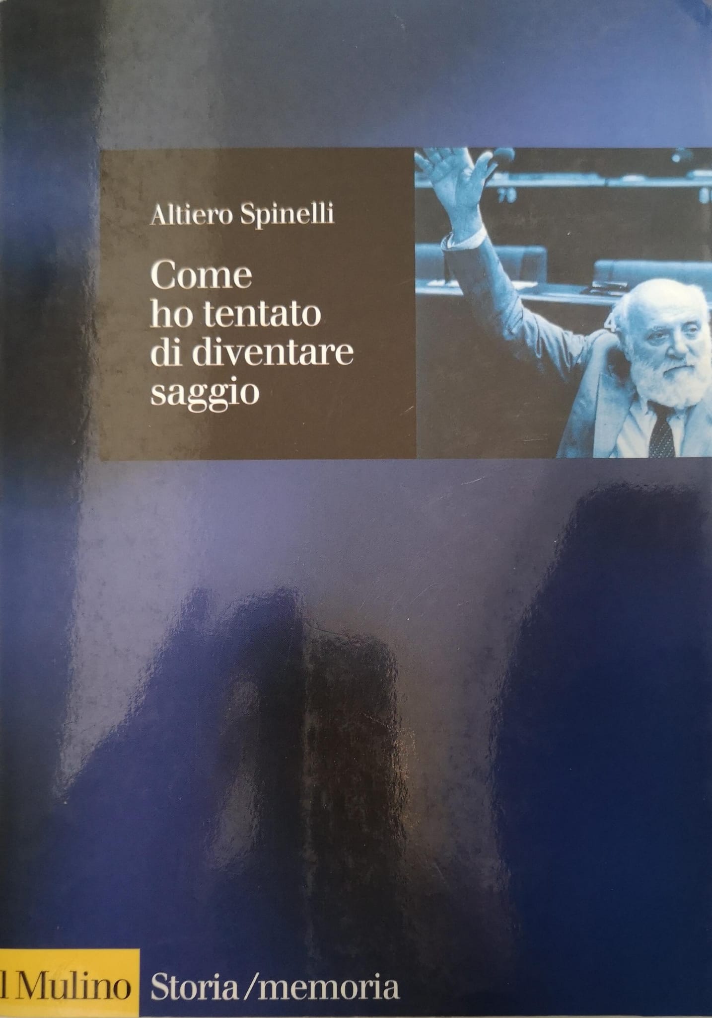 COME HO TENTATO DI DIVENTARE SAGGIO.