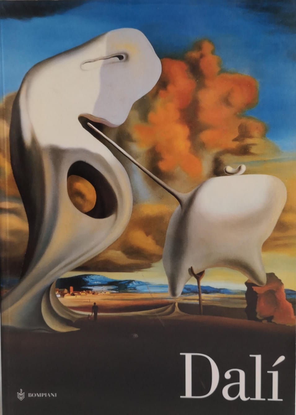 DALÌ. PALAZZO GRASSI.