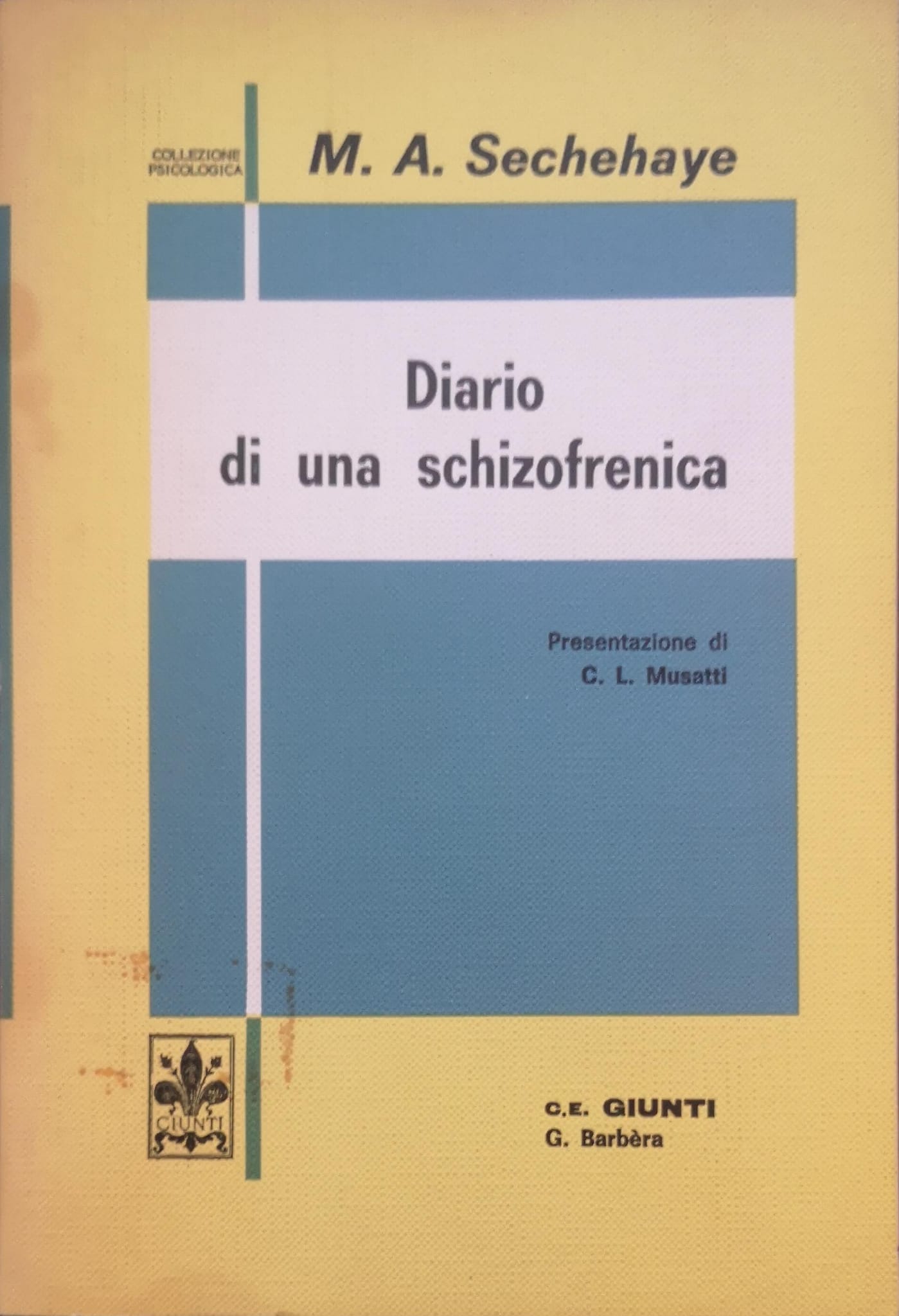 DIARIO DI UNA SCHIZOFRENICA.