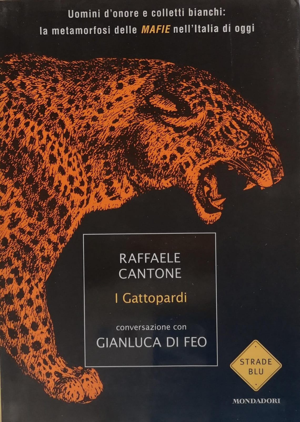 I GATTOPARDI. UOMINI D'ONORE E COLLETTI BIANCHI: LA METAMORFOSI DELLE …