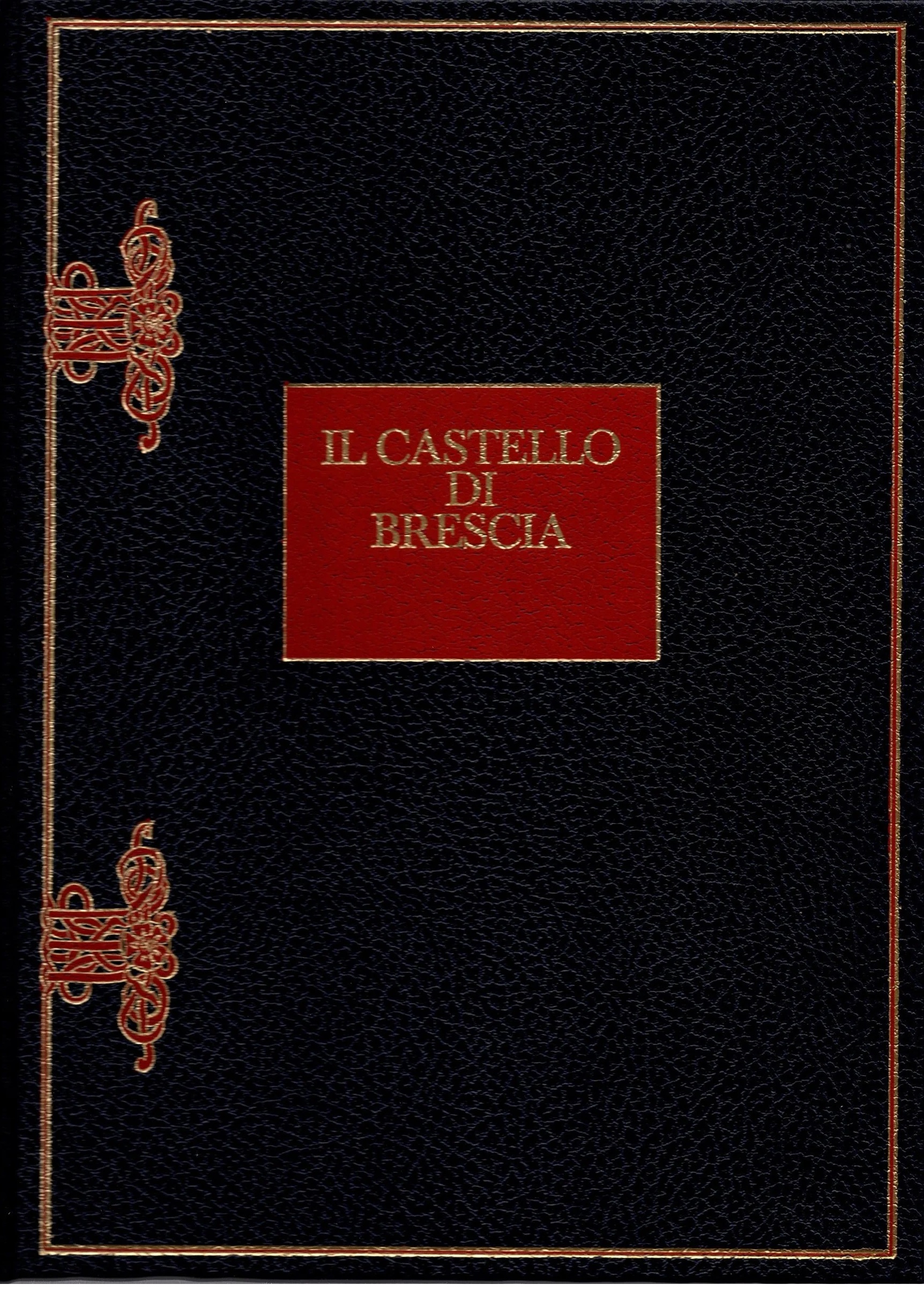 IL CASTELLO DI BRESCIA.