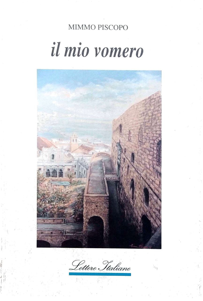 IL MIO VOMERO.