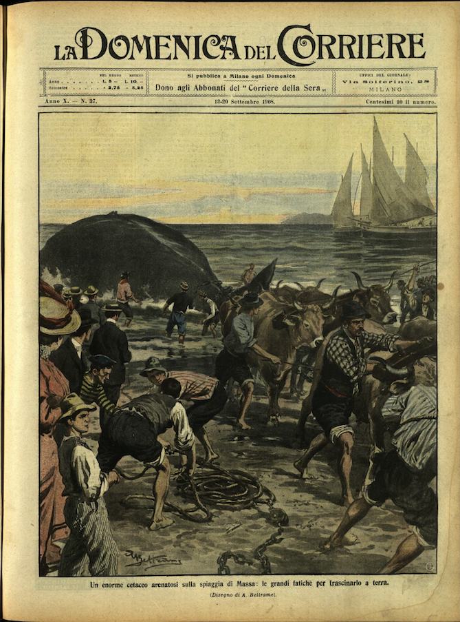 LA DOMENICA DEL CORRIERE. 13 - 20 Settembre 1908. Anno …