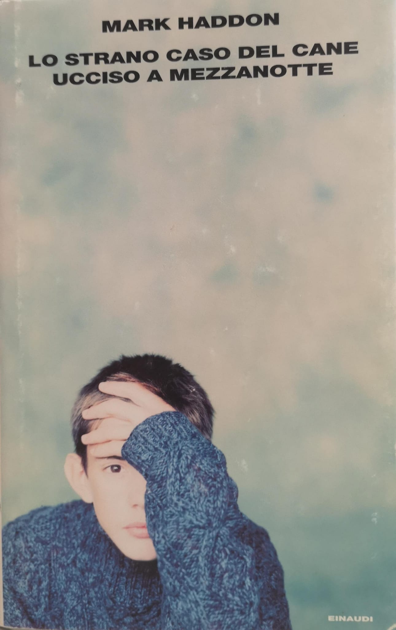 LO STRANO CASO DEL CANE UCCISO A MEZZANOTTE.