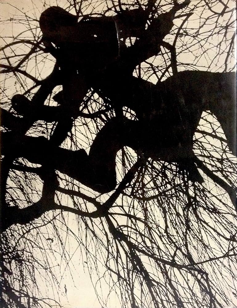 RIVA DI PO. - Con prefazione di Riccardo Bacchelli.