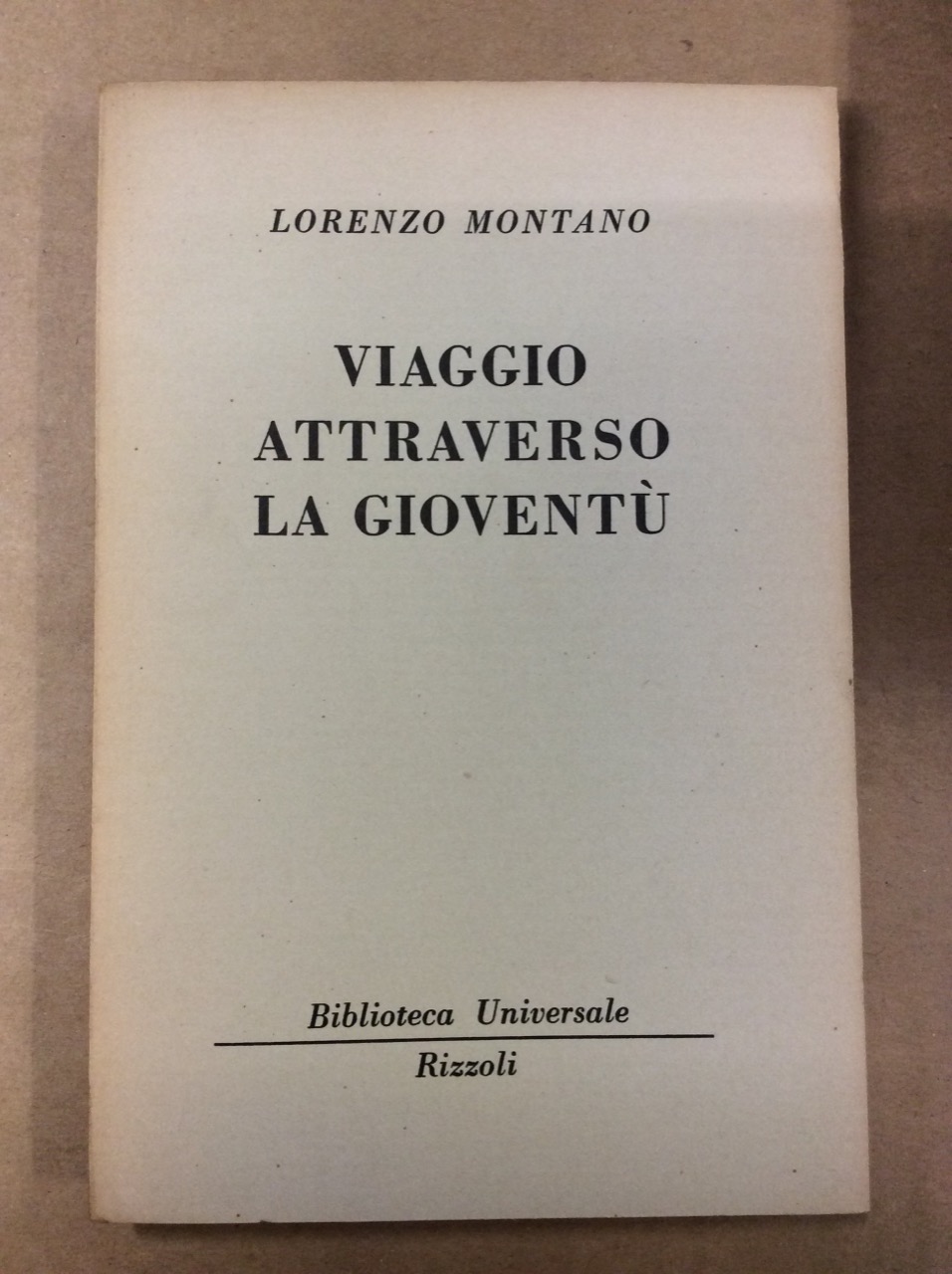 VIAGGIO ATTRAVERSO LA GIOVENTU', SECONDO UN ITINERARIO RECENTE.