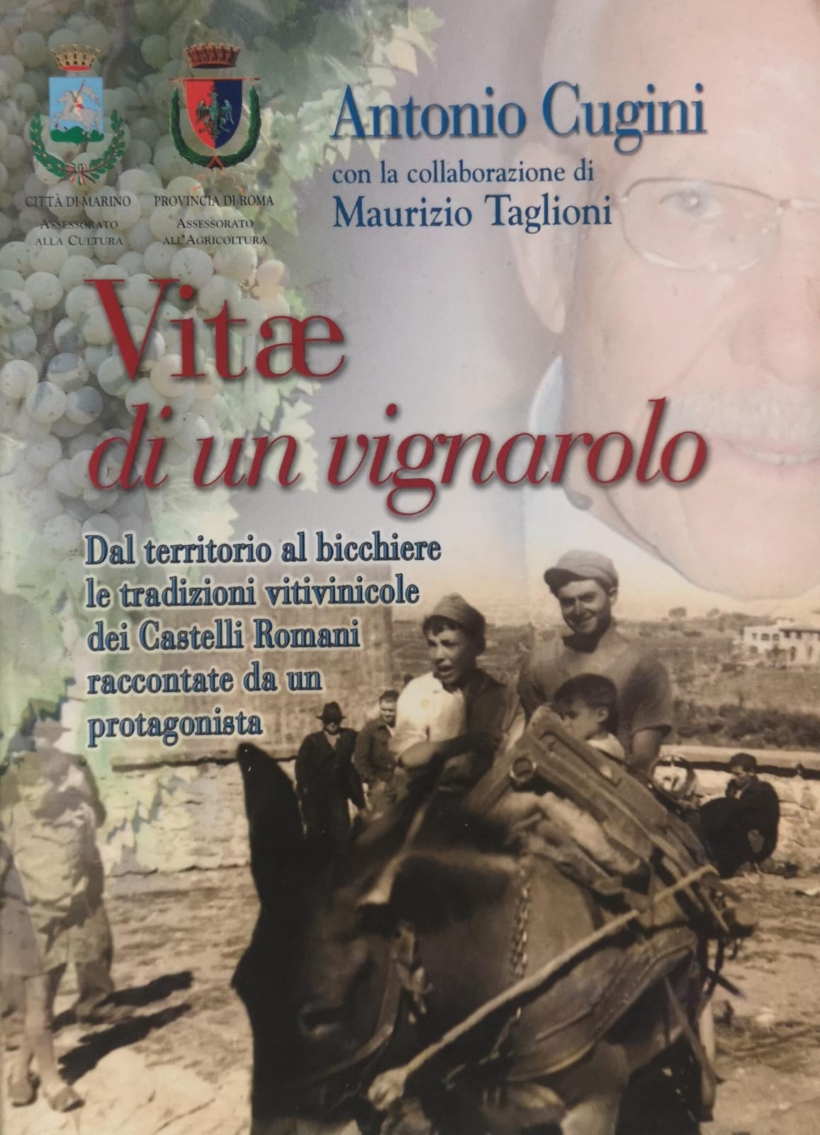 VITAE (VITE) DI UN VIGNAROLO. - Dal territorio al bicchiere, …