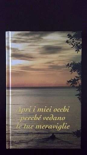 Apri i miei occhi perch? vedano le tue meraviglie.