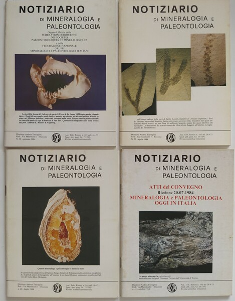 Notiziario di Mineralogia e Paleontologia Anno 1984 completo