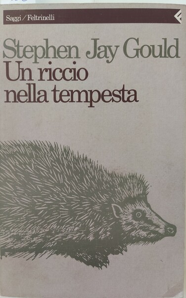 Un riccio nella tempesta. Saggio su libri e idee