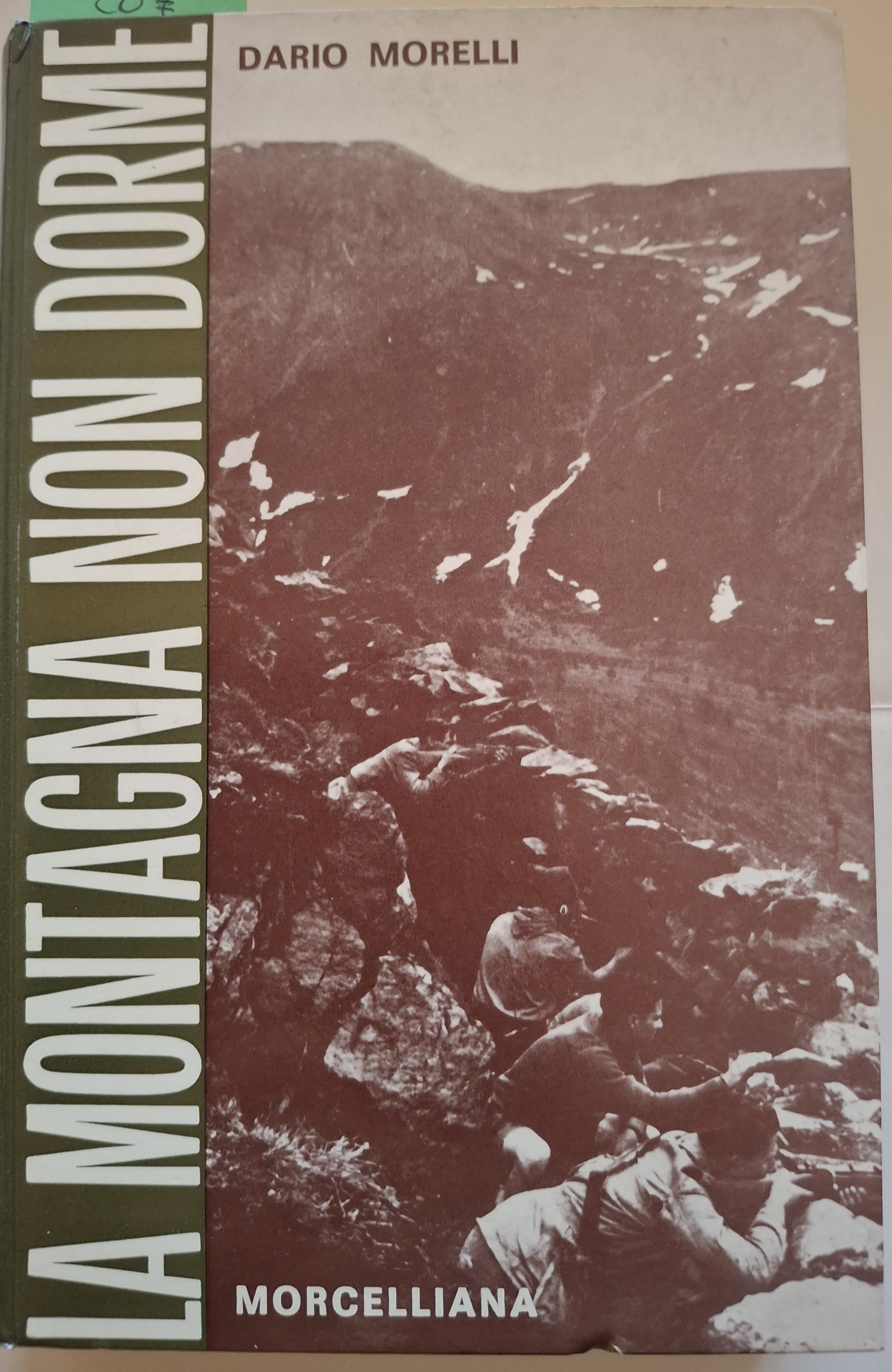La montagna non dorme. Le Fiamme Verdi nell’alta Valcamonica