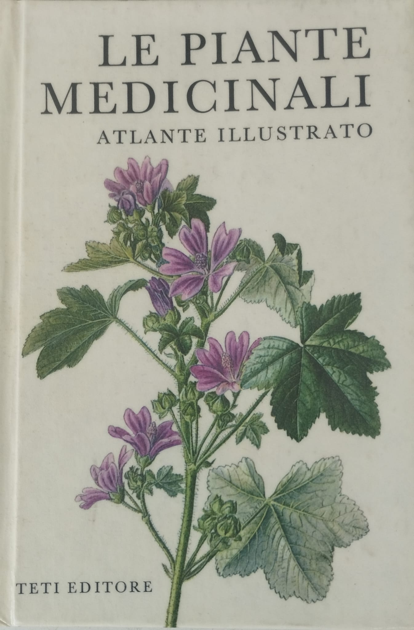 Le piante medicinali. Atlante illustrato