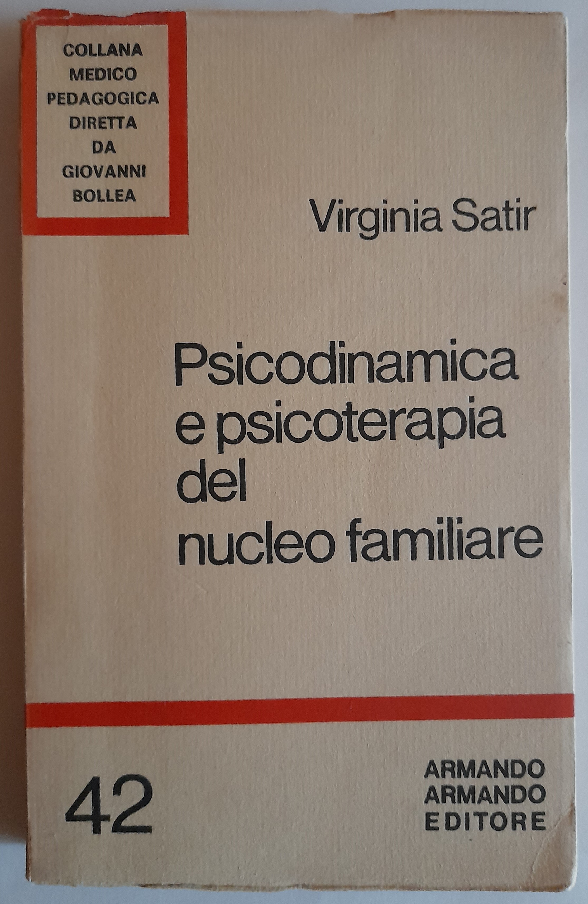 Psicodinamica e psicoterapia del nucleo familiare