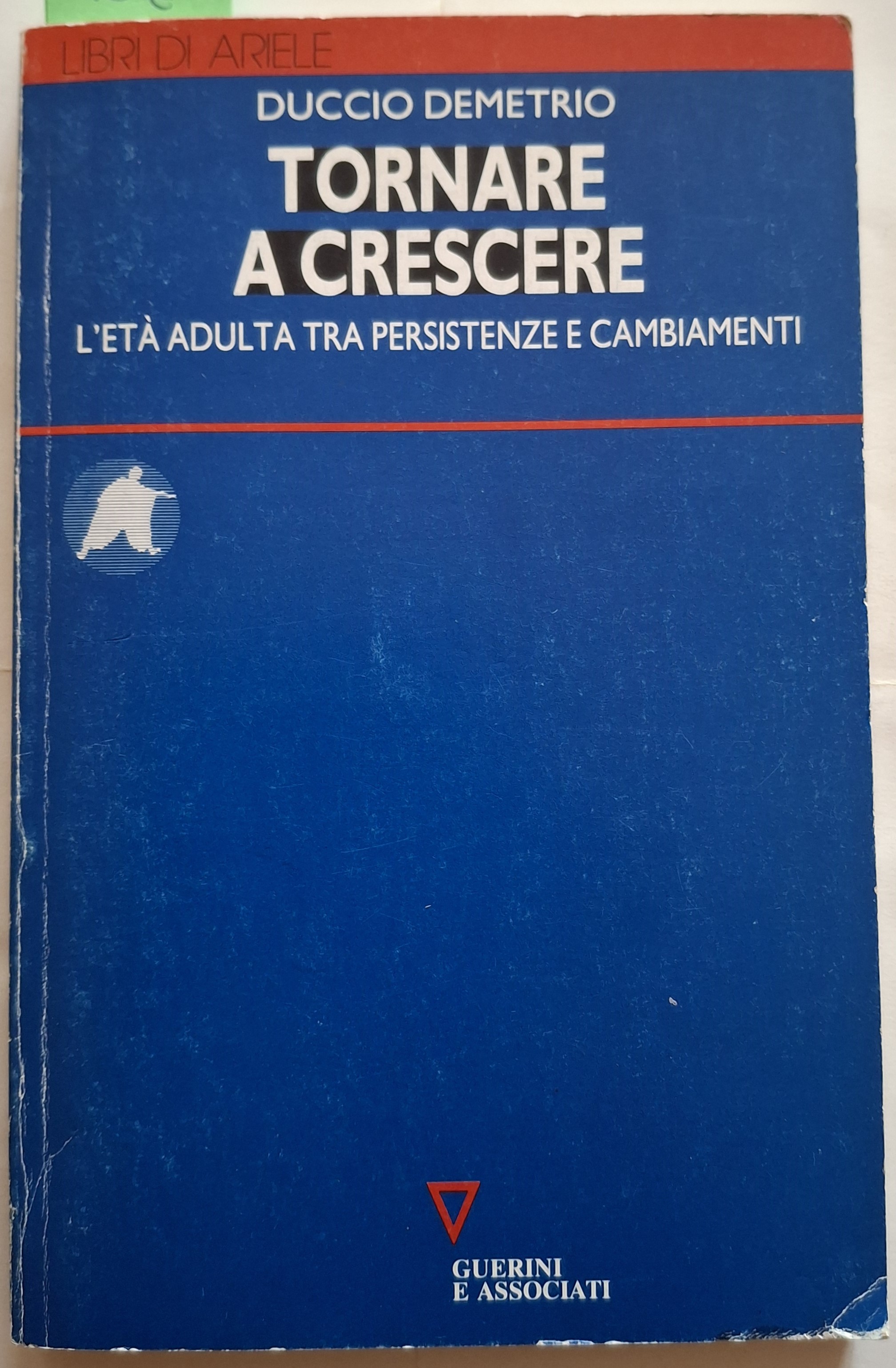 Tornare a crescere. L’età adulta tra persistenze e cambiamenti