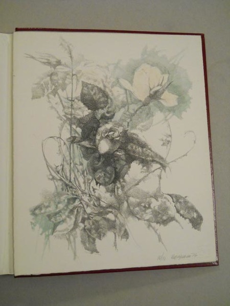 RENZO VESPIGNANI NEGLI SCRITTI DI VESPIGNANI - PRATOLINI - CARLUCCIO …