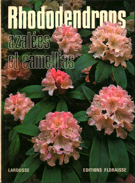 Rhododendrons, azalèes et camellias