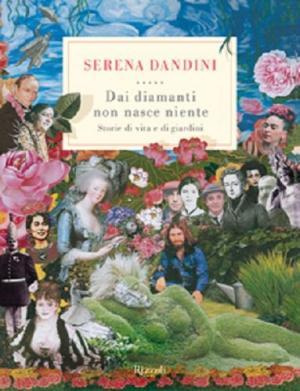 Dai diamanti non nasce niente