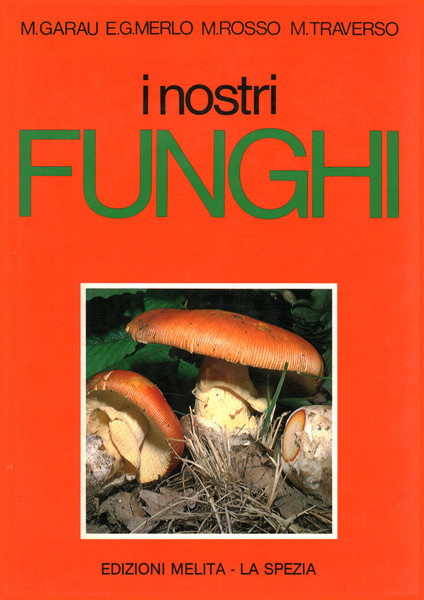 I nostri funghi