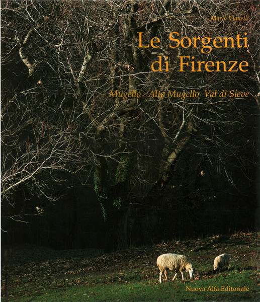 Le sorgenti di Firenze