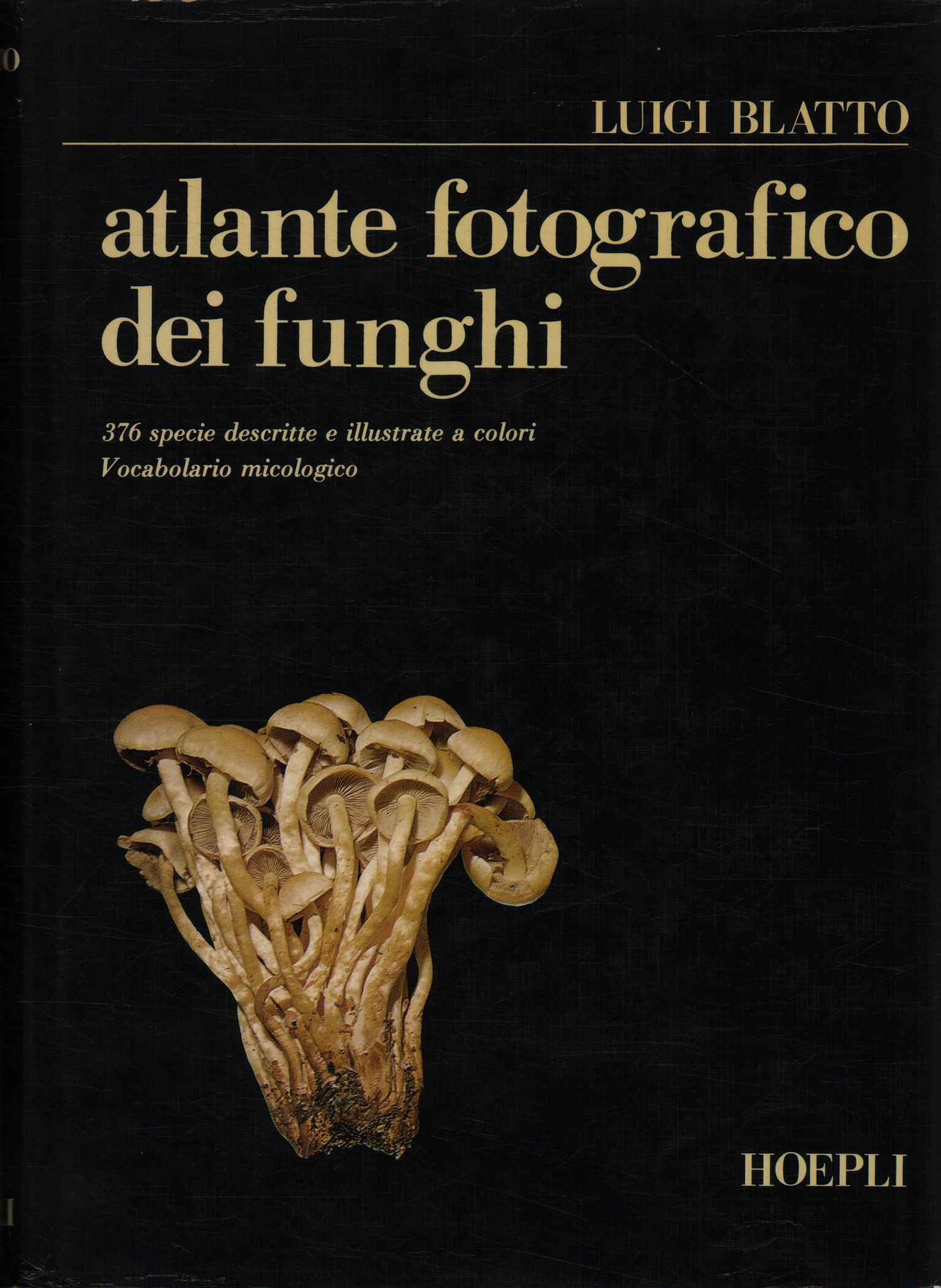 Atlante fotografico dei funghi