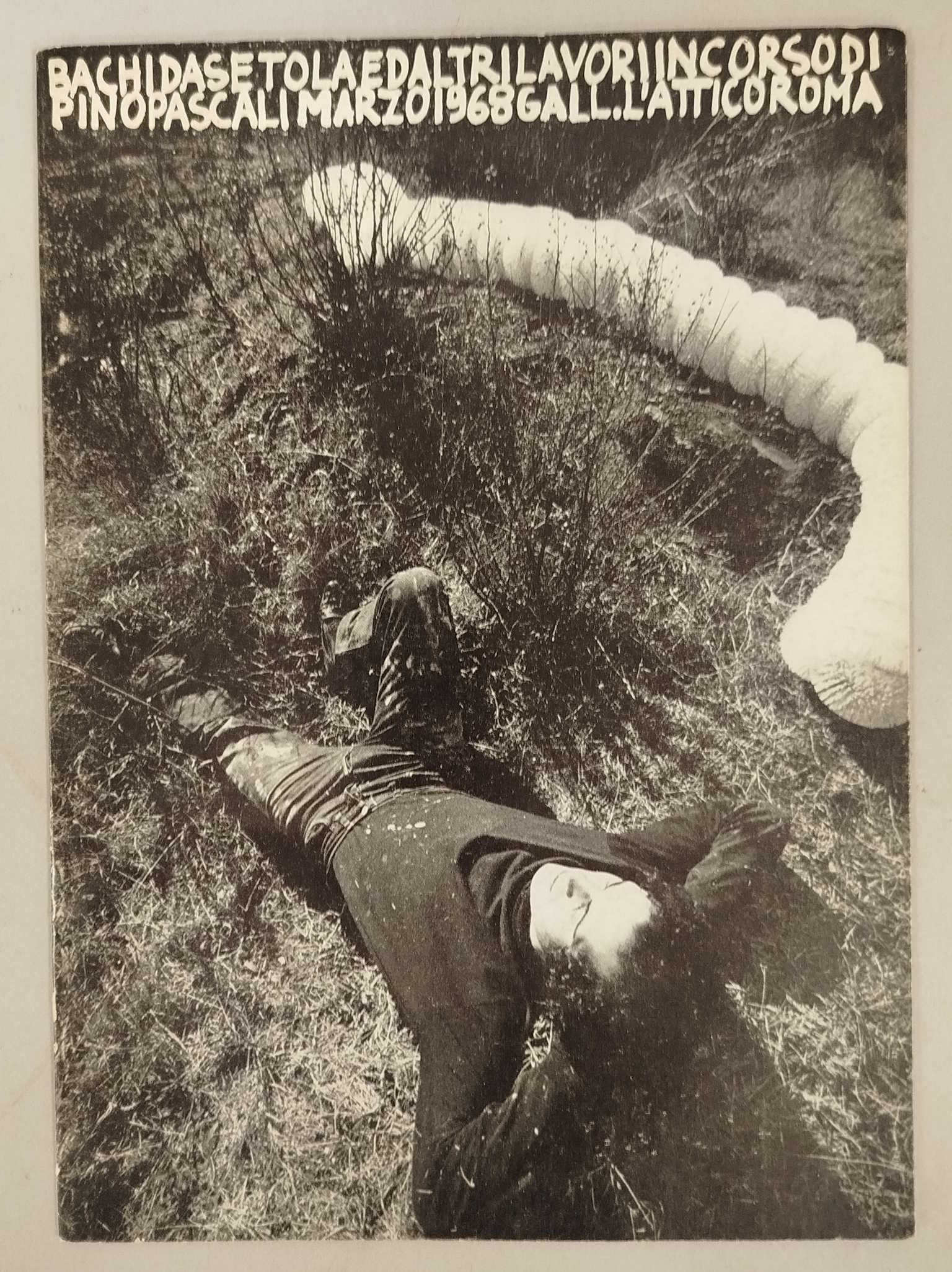 Bachi da setola ed altri lavori in corso Pino Pascali …