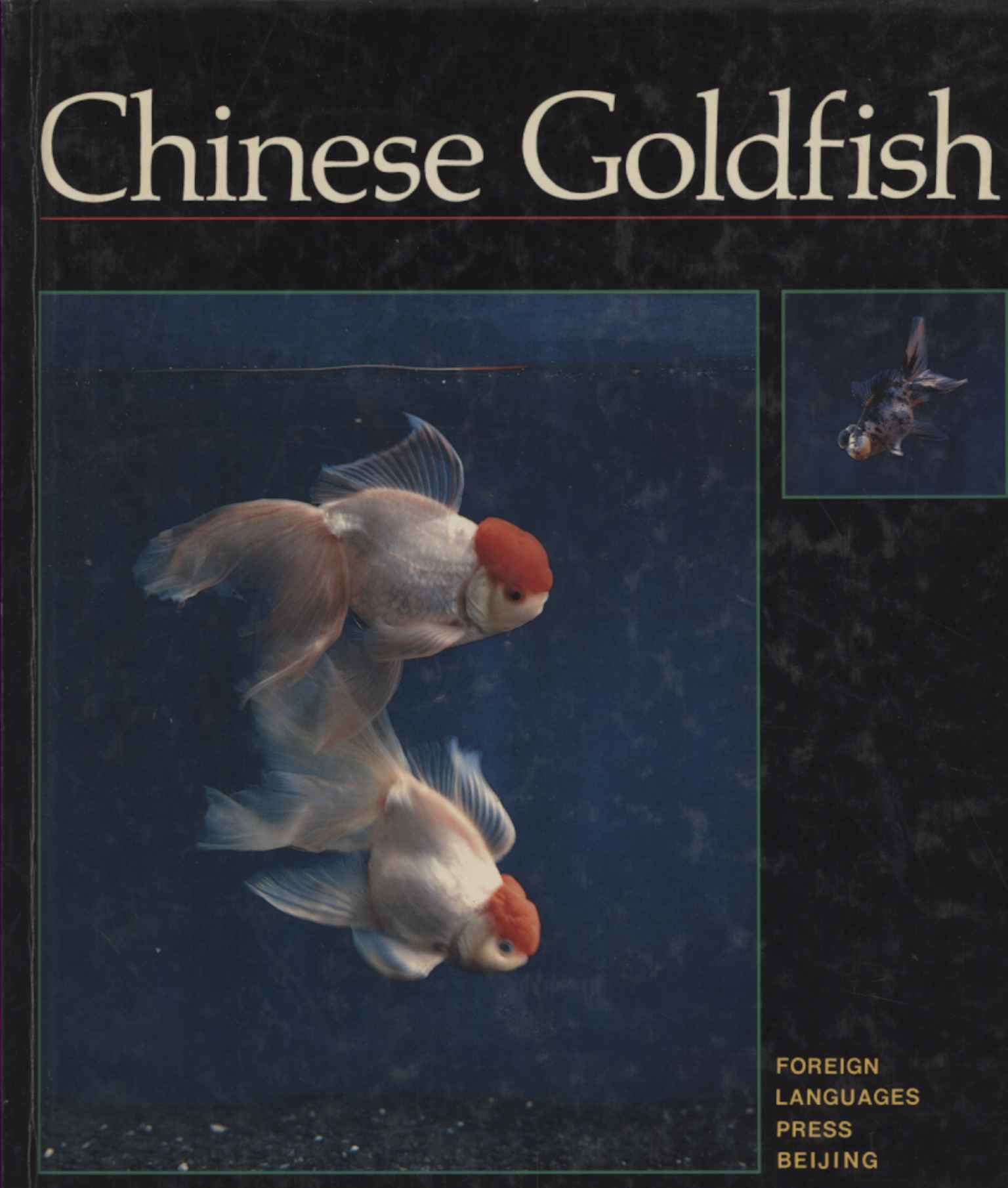 Chinese Goldfish