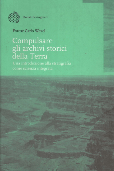 Compulsare gli archivi storici della Terra