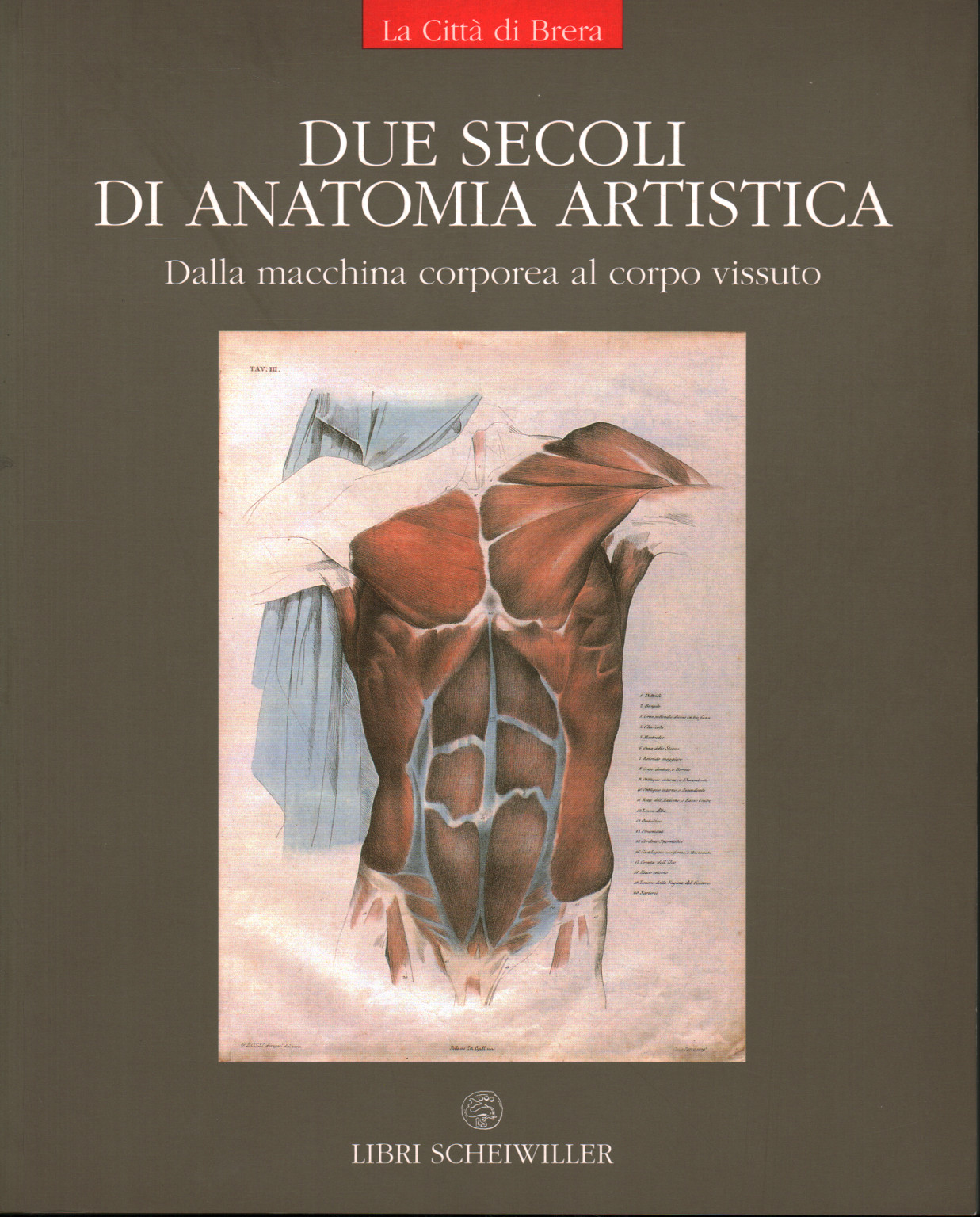 Due secoli di anatomia artistica
