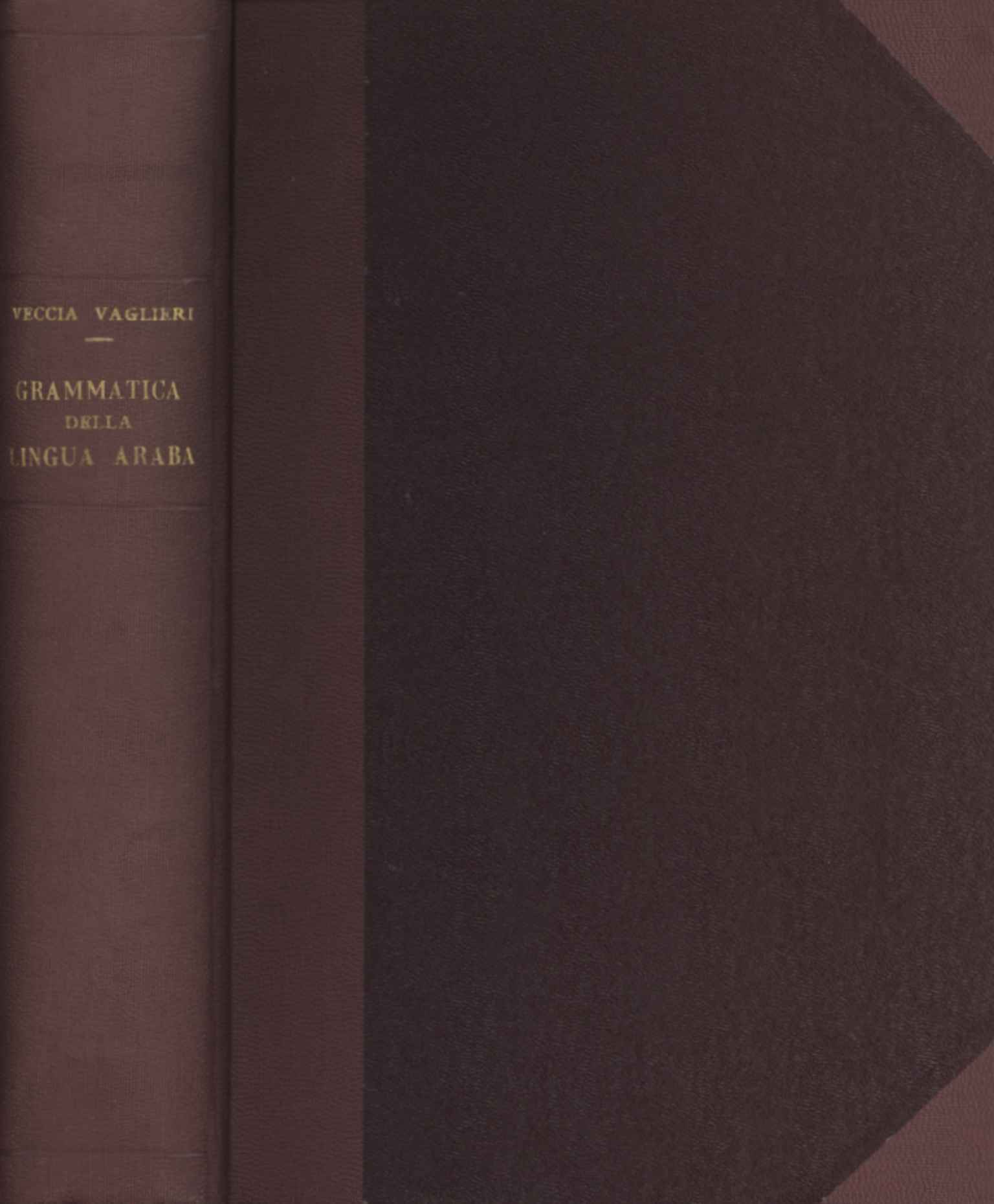 Grammatica teorico-pratica della lingua araba (Volume I)