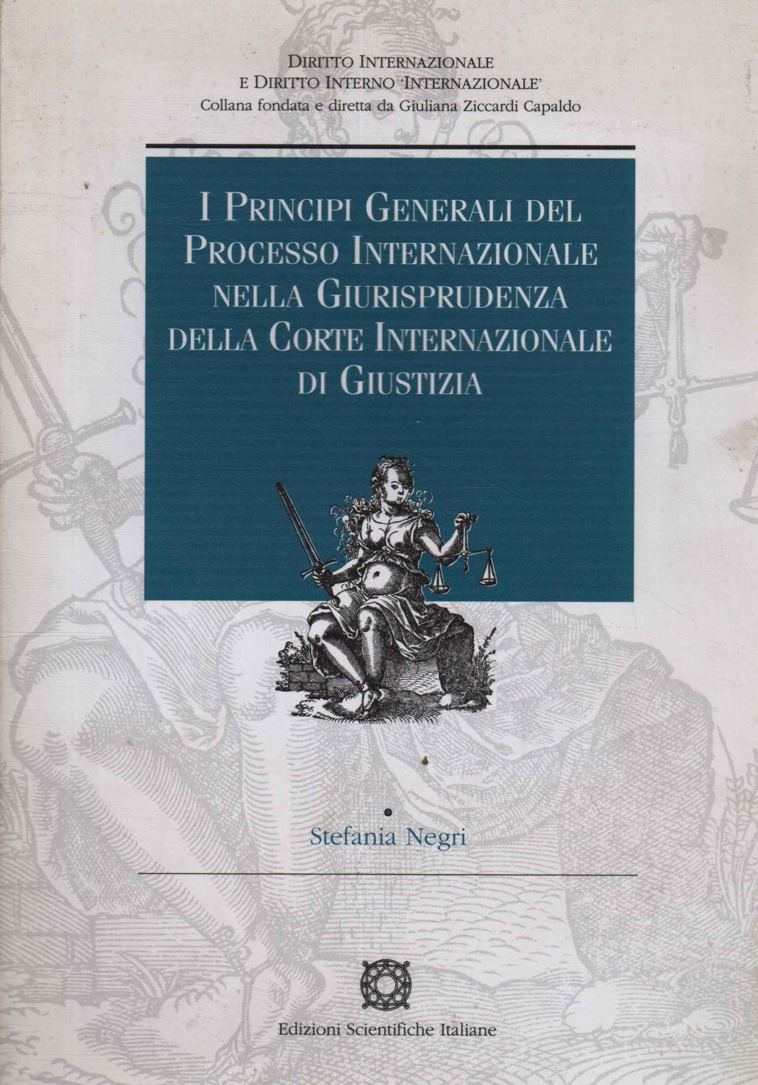 I principi generali del processo internazionale nella giurisprudenza della corte …