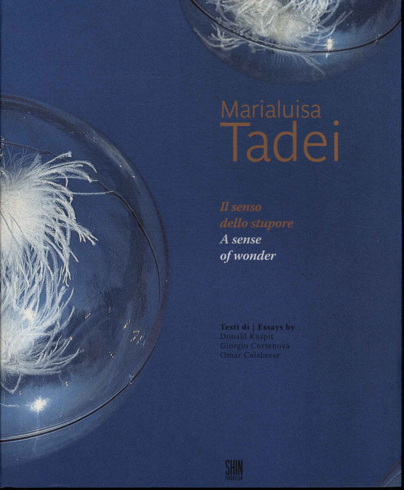 Il senso dello stupore