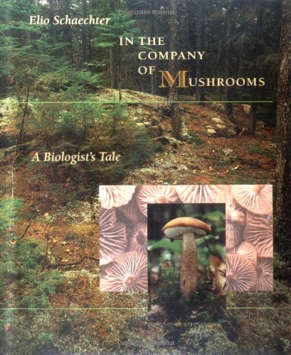 In the Company of Mushrooms