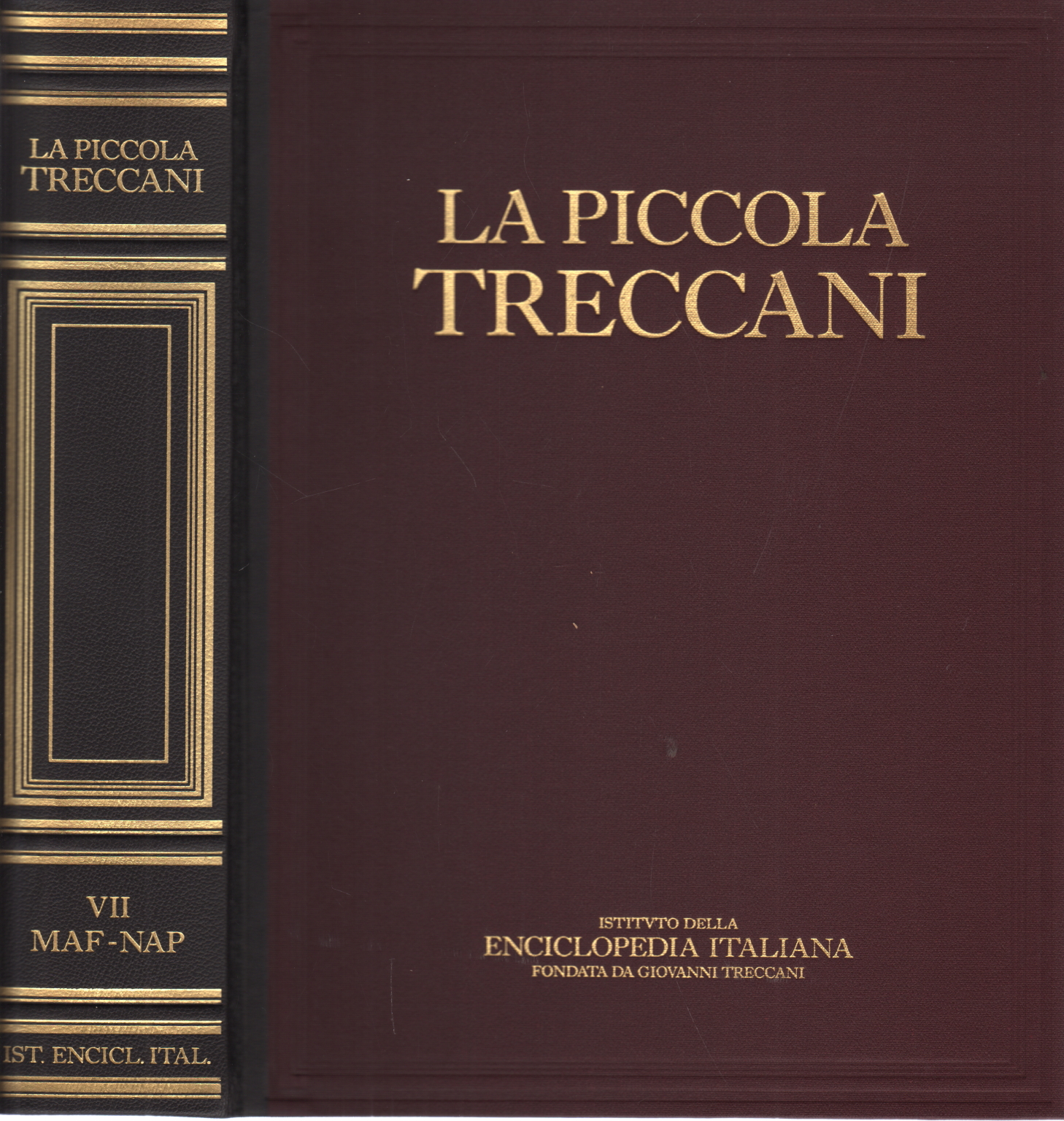 La Piccola Treccani VII Maf-Nap