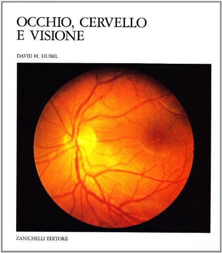 Occhio, cervello e visione