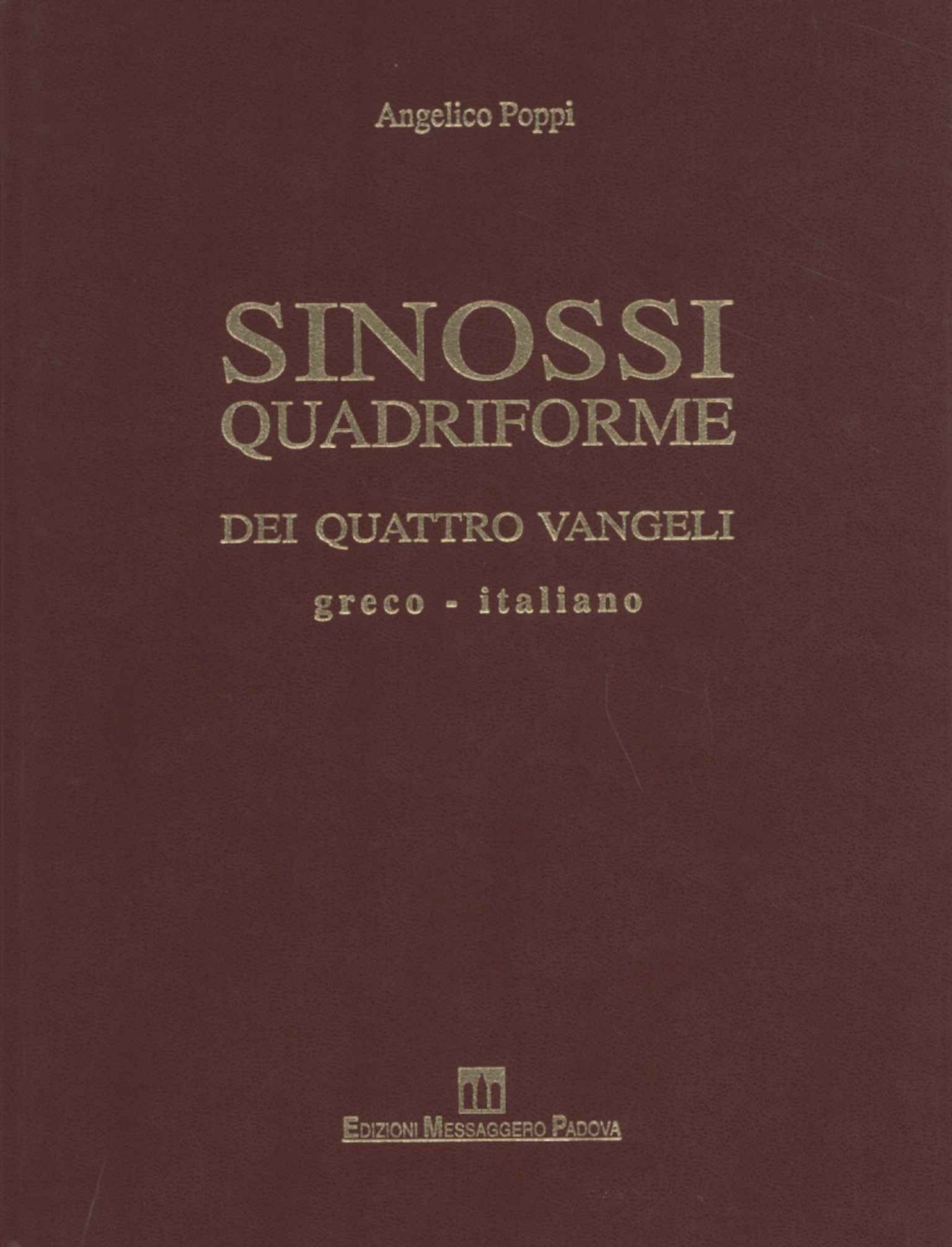 Sinossi quadriforme dei quattro vangeli (Volume I - Testo)