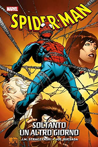 Spiderman smascherato. soltanto un altro giorno (Volume 3)