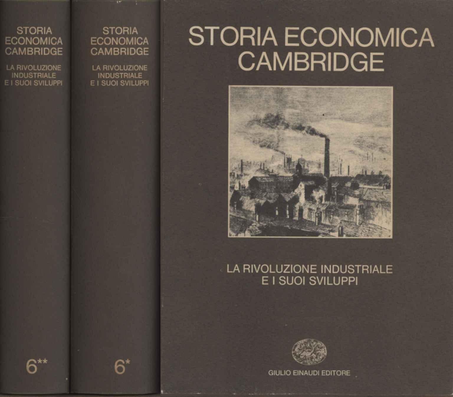 Storia economica Cambridge (Volume VI)
