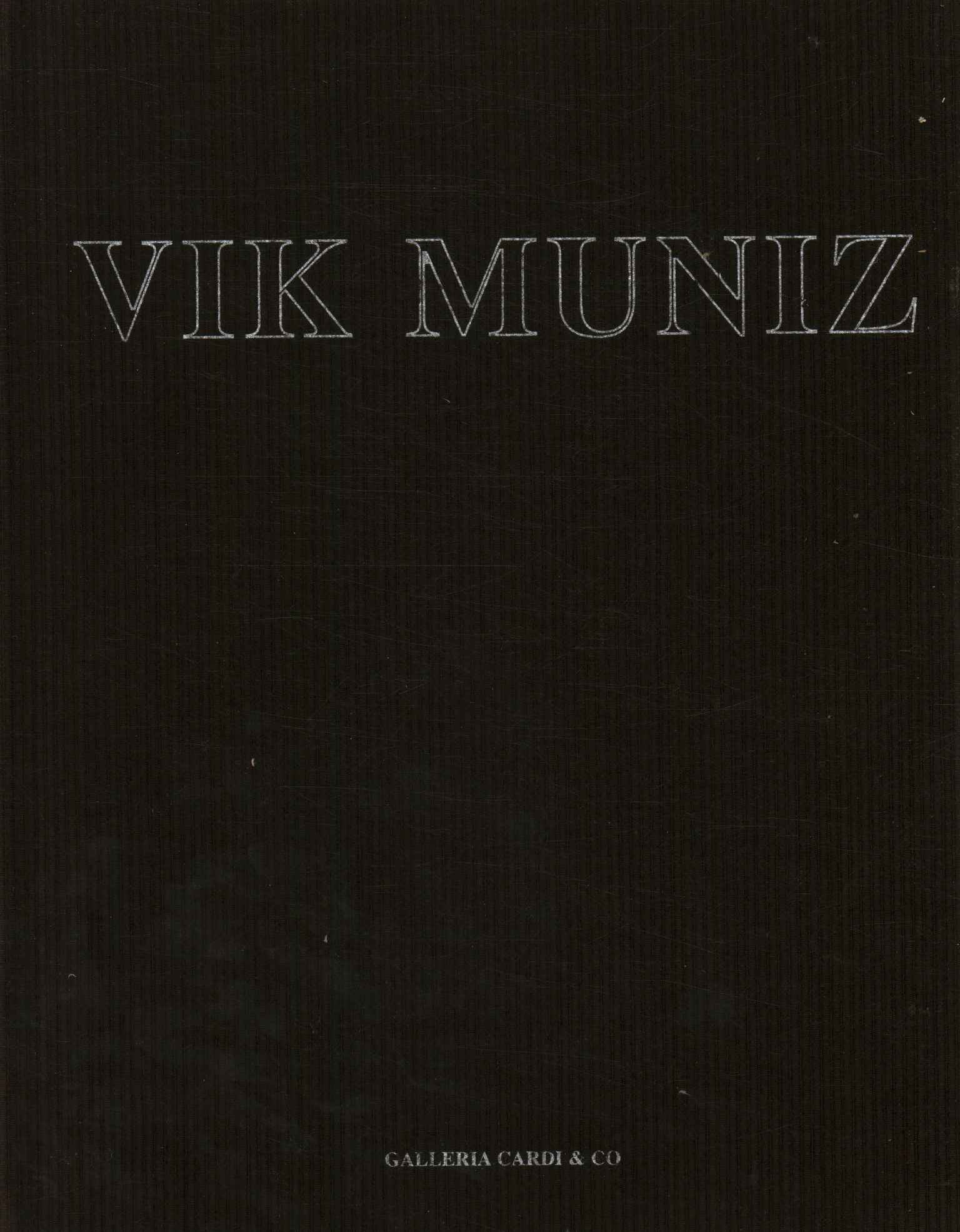 Vik Muniz