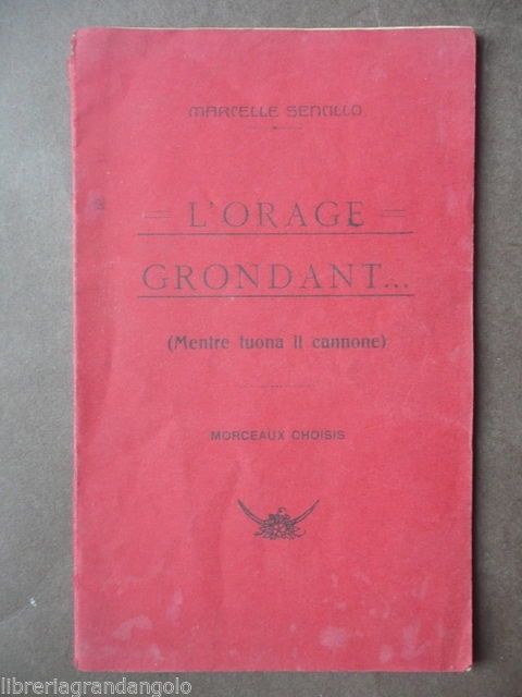 1∞ Guerra Mondiale Opuscoli Patriottici Erinnofili Croce Rossa 1918 Gozzano