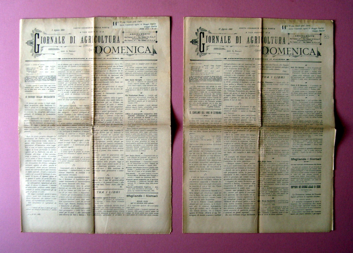 2 n Giornale Agricoltura della Domenica 1903 Fabbricazione Emmenthal in …