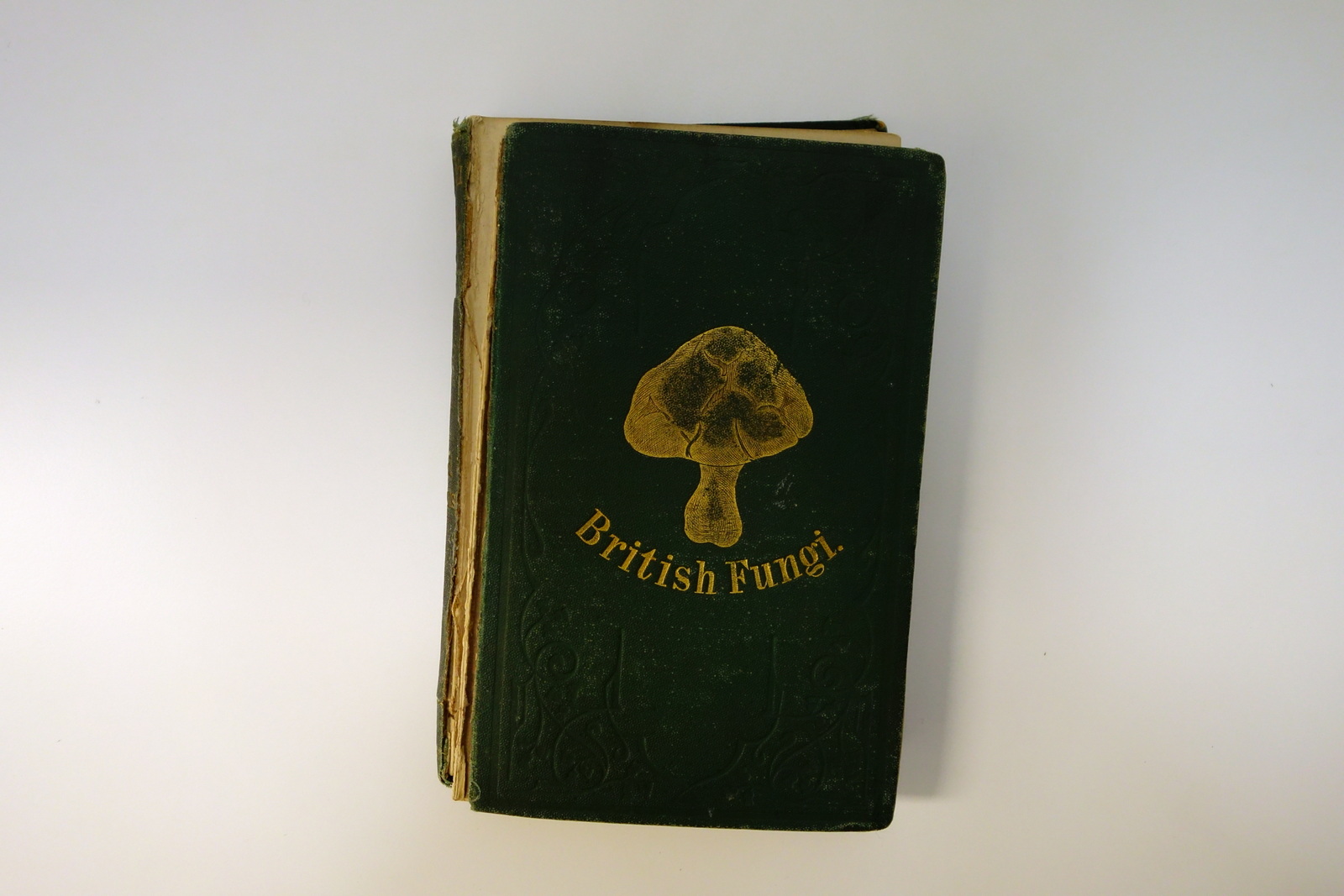 A Plain and Easy Account of British Fungi Cooke Hardwicke …