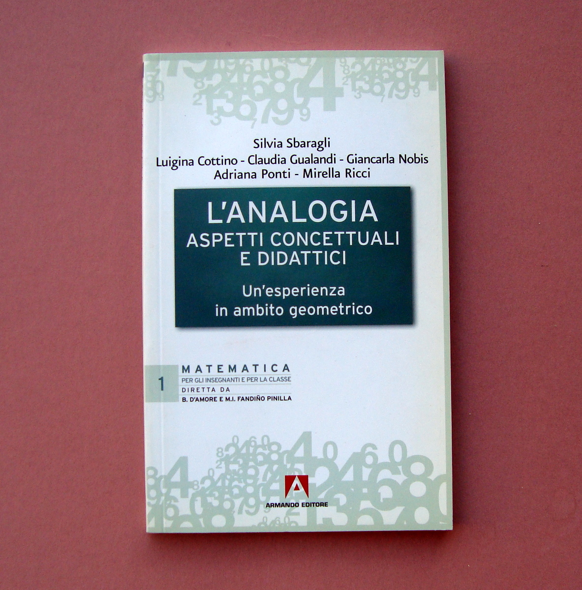 AA.VV L'Analogia esperienza ambito geometrico Armando Ed 2008 didattica Esaurito