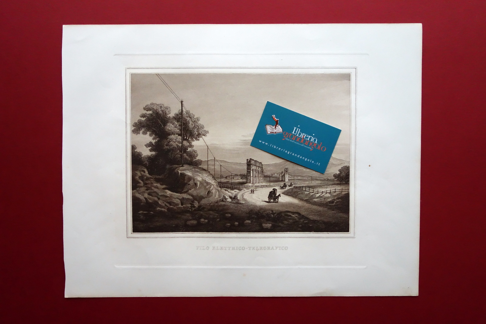 Acquatinta Filo Elettrico Telegrafico Scienze e Arti sotto Pio IX …