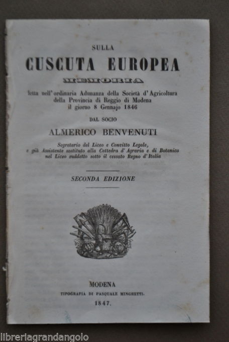 Agricoltura Agraria Prati Erba Cuscuta Europea Piante Infestanti Modena 1847